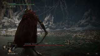 【エルデンリング】死闘、欠け身の神髄【ELDEN RING】#9
