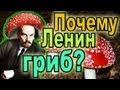Почему Ленин - гриб? 