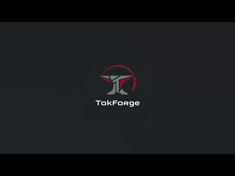 TokForge Local AI Offline Chat