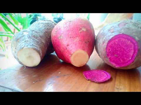 download lagu mp3 mp4 Potato Ale, download lagu Potato Ale gratis, unduh video klip Potato Ale