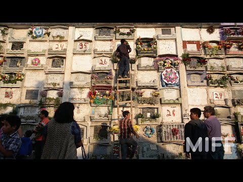 The Meddler | Trailer