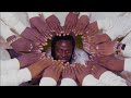 Fancy Gadam Nje Vuri Official Video