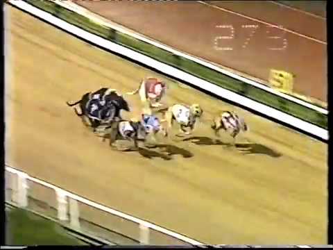 1990 Australian GH Cup