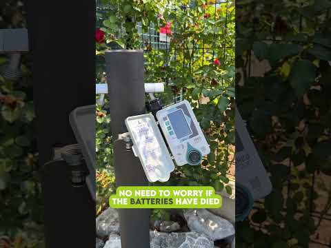 Take care of your balcony and hedges remotely with Amico Vision