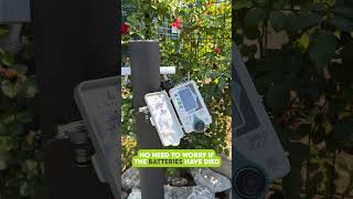 Take care of your balcony and hedges remotely with Amico Vision
