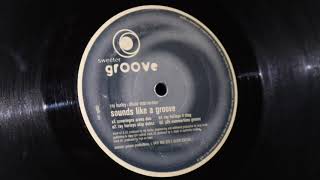 Divide Intervention - Sounds Like A Groove (Ray Hurleys Step Dubsz)