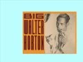 Rockin´My Boogie - Big Walter Horton & Charlie Musselwhite