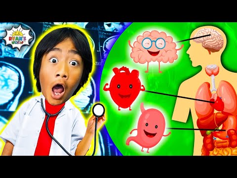 Learn about Human Body Parts for Kids | Ryan's World Educational Video