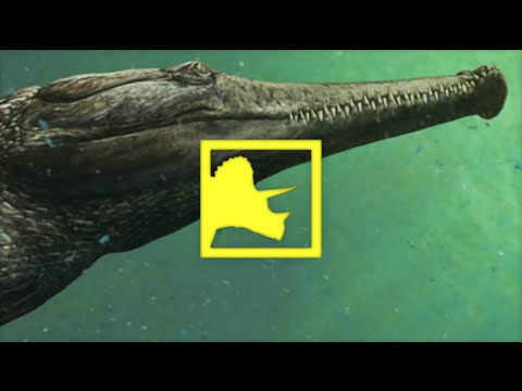 Machimosaurus rex: Largest Marine Croc Ever | Prehistoric News