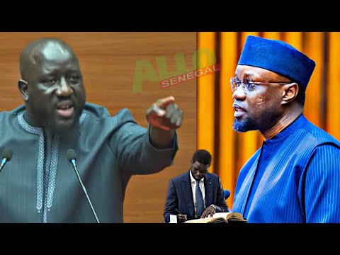 «Ku Sagati Sonko Ma, Le ministre Alioune Sall crée l’agitation dans l’hémicycle et défend le..