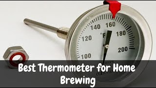 Best Thermometer for Home Brewing - Top Recommendations
