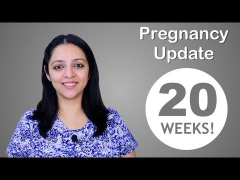 Week 20 Pregnancy Update | प्रेगनेंसी का बीसवां हफ्ता कैसा होता है?