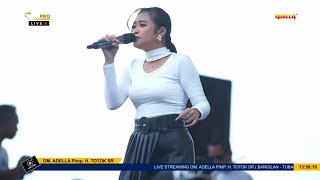 Download lagu AIR MATA PERPISAHAN - NURMA KDI - OM ADELLA LIVE PALANG TUBAN 2022 mp3