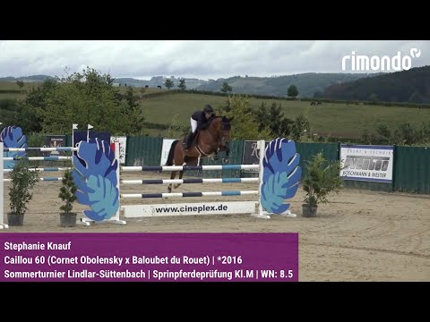 BuCha-Quali Lindlar-Süttenbach – Stephanie Knauf & Caillou 60