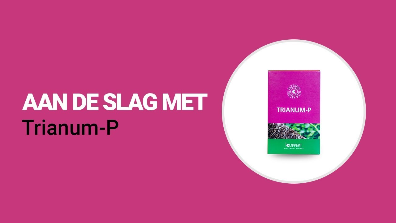 Video preview poster