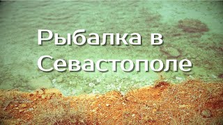 Рыбалка в севастополе на бычка