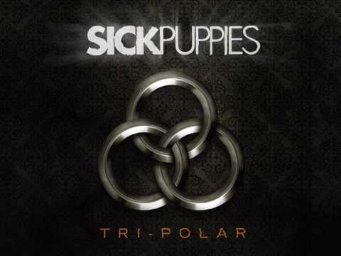 So What I Lied Sick Puppies