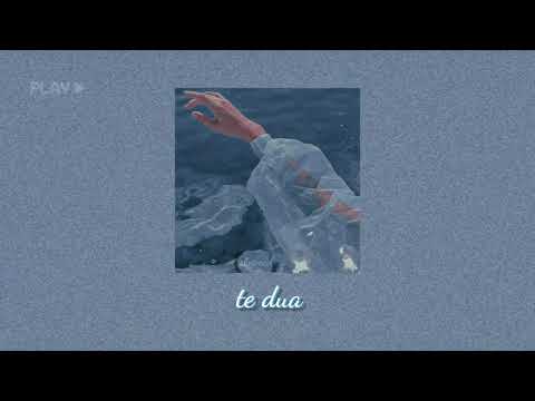 te dua - dj gimi o  & lirjon zenelaj (slowed + reverb/edited audio)