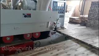 Máy cưa ripsaw nhiều lưỡi tải nằng ( cắt 145mm)