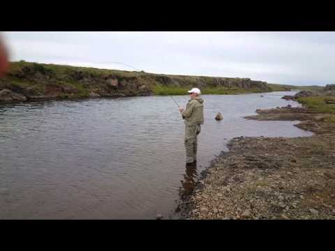 Laxapollur, Víðidalsá, 12. ágúst 2015