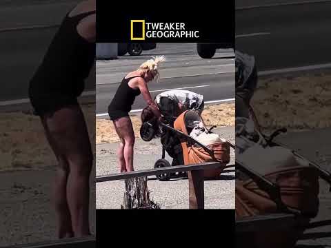 Tweak Stroller #fypシ #funny #nature #viral