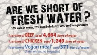 США 363-W: Проблемы с пресной водой в Калифорнии - насколько это серьезно?