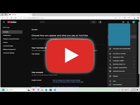 YouTube Video