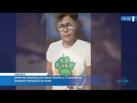 APIPA faz denuÌncia de maus-tratos a 2 cachorros durante operacão da RONE (06 05 20)