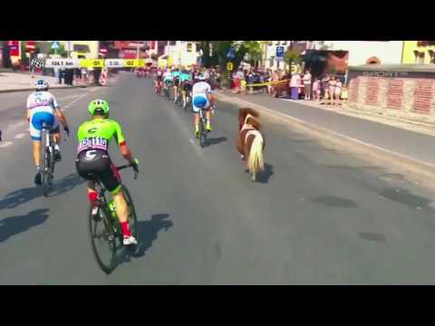 Tour of Poland 2017 Pony - Tour de Pologne 2017