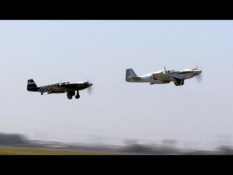 Exciting MASSIVE (10 aircraft) P-51 Mustang Tail-Chase Exhibition!