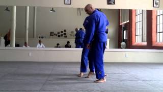 Harai Goshi