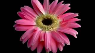 Yeshu tumhe jeevan me shanti...Great Hindi christian song