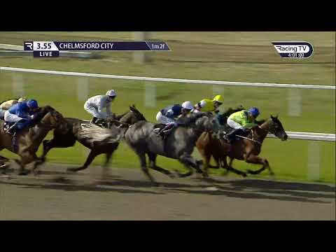 Trawlerman gets the job done in the Betsi Handicap!