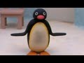 Dancing Pingu Episode 15 I Love You So Much By The New Colony Six