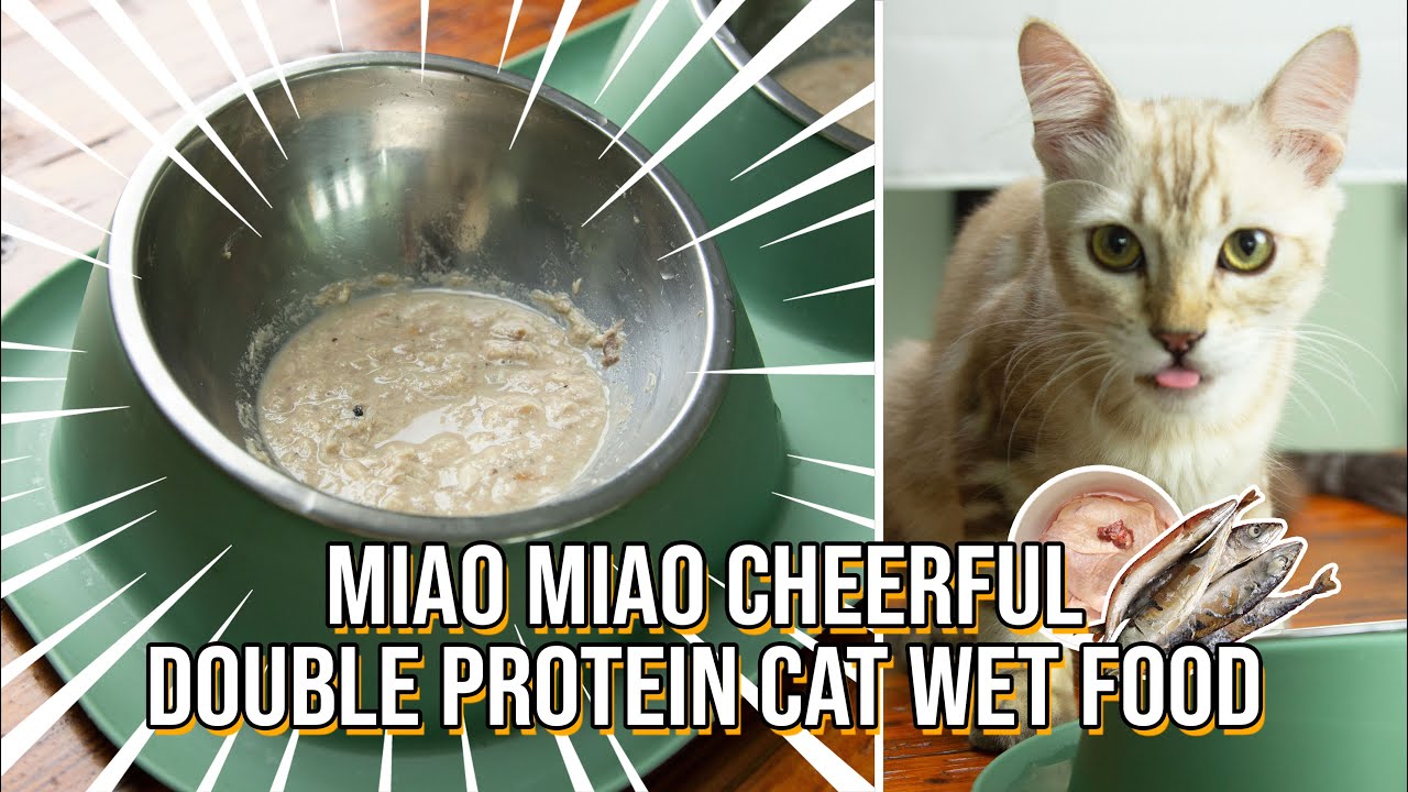 Double Protein Chicken Tuna Cat Food for Healthy and Cheerful Cat [Recipe 1] || Delishtube
