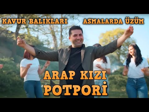 Şaban Gürsoy - Kavur Balıkları - Asmalarda Üzüm - Arap Kızı -Oyun Havası