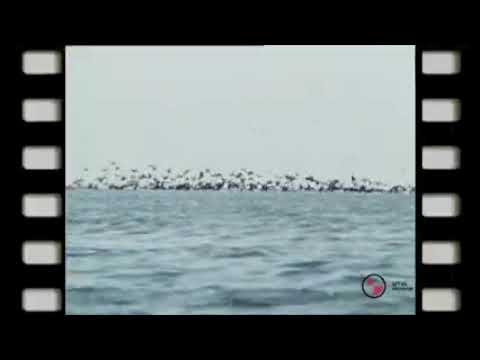 Elektrip - Ajánló M2 Petőfi