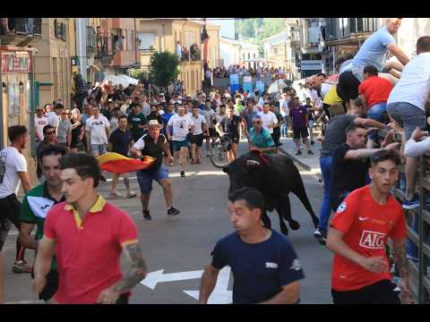 Multitudinario X Toro de Cajón en Vitigudino con reses de Victorino 