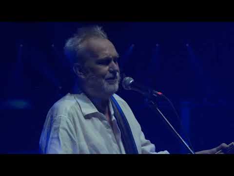 Noche de Perros - En Vivo