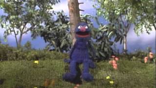 Sesame Street: Grover and the Butterfly