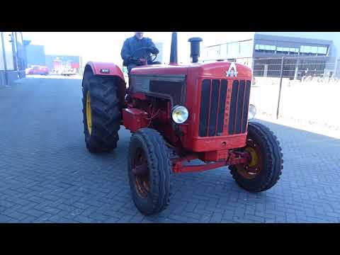 Hanomag Robust 800 for sale at VDi auctions