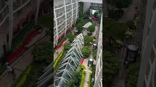 Boarding Day on Oasis of the Seas