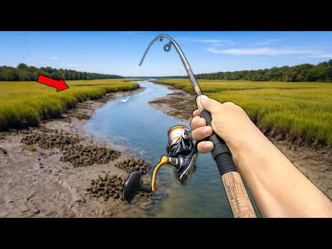 Fishing a Hidden Saltwater Creek… It Was LOADED