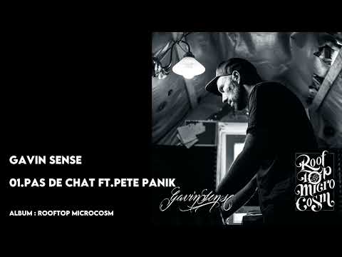 Gavin Sense - Pas de chat ft. Pete Panik