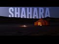 SHAHARA (Will Lee)