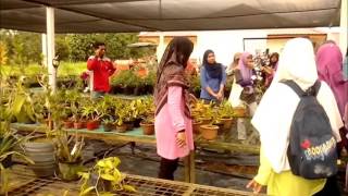 Method Demo Tanaman Orkid oleh Pn Qamarina TPU UPM