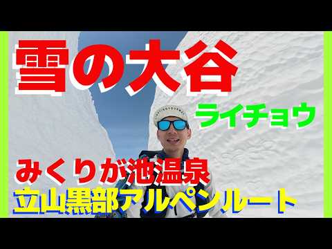 【立山GW完全ガイド】雪の大谷・みくりが池温泉・猛吹雪の帰路｜2026年最新情報（後編）