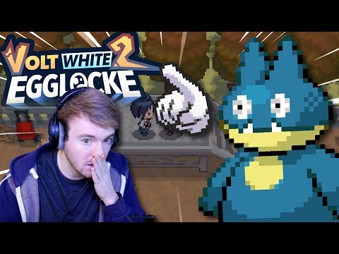 WERDE DURCHGEHEN, JA? (Pokémon Volt White 2 Egglocke mit GameboyLuke • #03)