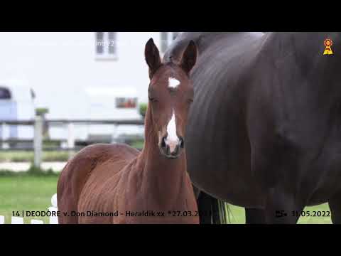 14 Don Diamond - Heraldik xx