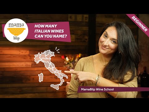 Beginners Guide to italian Wines
